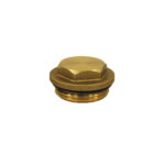 BRASS PLUG 1"+O-RING 494L1"