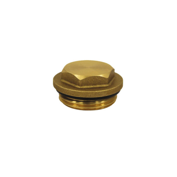 BRASS PLUG 1"+O-RING 494L1"