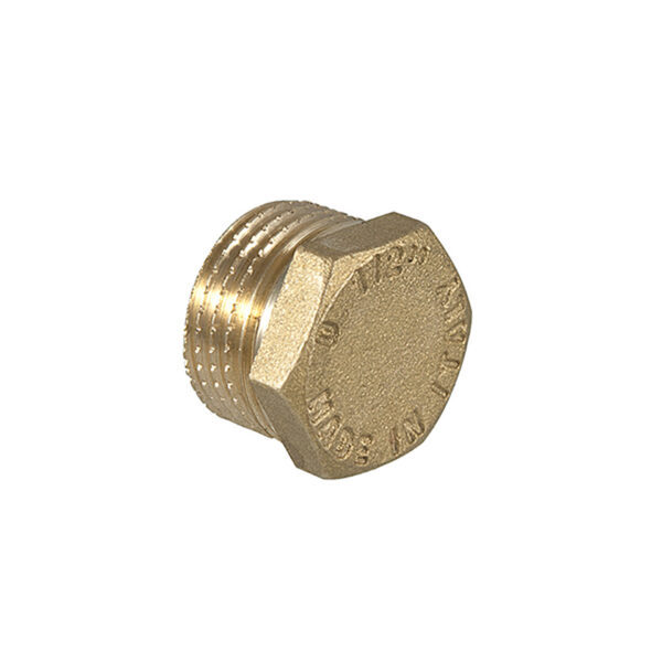 PLUG MESSING 6290 1/2