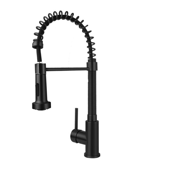 ROBINET DE CUISINE ALONI AVEC TÊTE DE PULVÉRISATION EXTRAIT - NOIR MAT