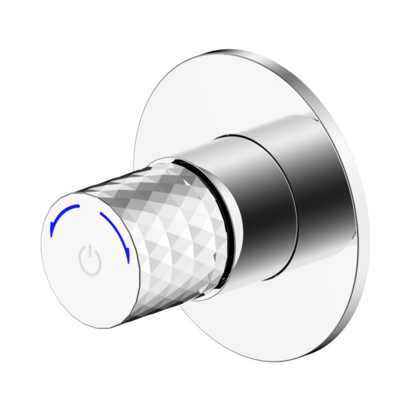 ROBINET DE BIDET ALONI FLOW - BOUTON POUSSOIR - EAU FROIDE - ENCASTRÉ - Chrome