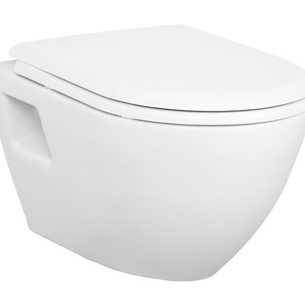 DESIGN WANDTOILET MET ROESTVRIJ STALEN SPROEIER (BIDET), MAT BASALT