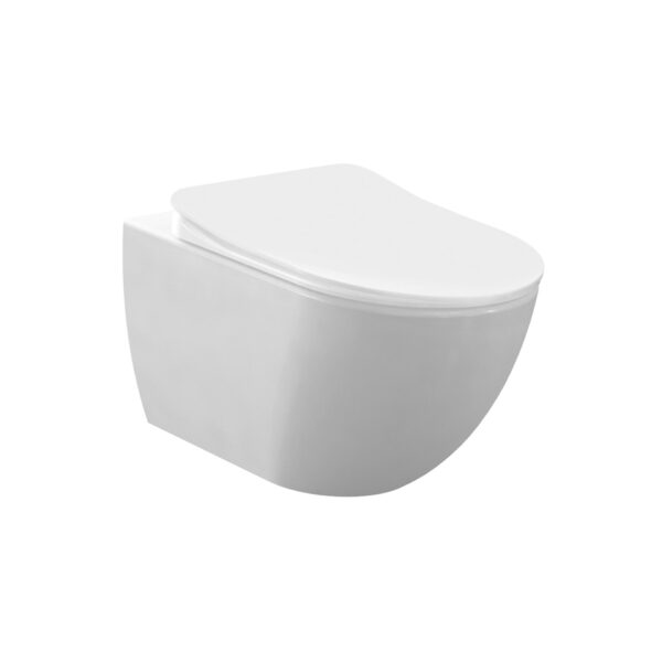 RIMOFF WANDTOILET MET ROESTVRIJ STALEN SPROEIER (BIDET), MAT WIT